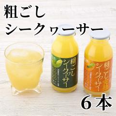 �e�����V�[�N���[�T�[ �U�{