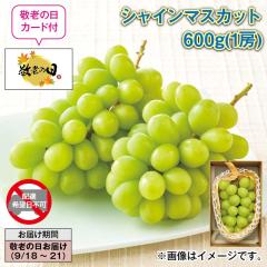 �V���C���}�X�J�b�g �U�O�O���i�P�[�j
