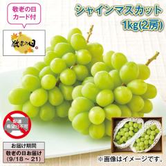 �V���C���}�X�J�b�g �P�����i�Q�[�j