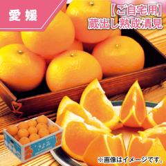 �y������p�z���o���n������