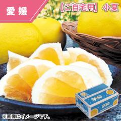 �y������p�z����