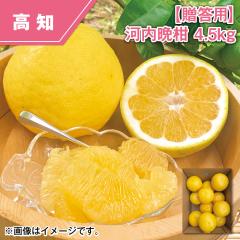 �y�����p�z�͓��ӊ� �S�D�T����