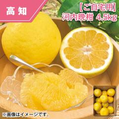 �y������p�z�͓��ӊ� �S�D�T����