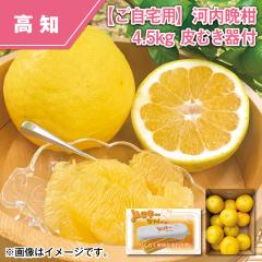 �y������p�z�͓��ӊ� �S�D�T���� ��ނ���t