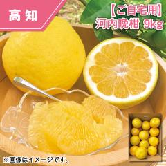 �y������p�z�͓��ӊ� �X����