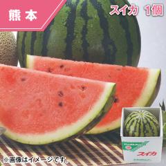 �X�C�J �P��