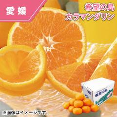 ��]�̓� �J���}���_����