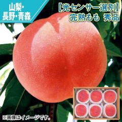 �y���Z���T�[�I�ʁz���n���� �G�i