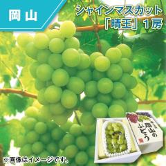 �V���C���}�X�J�b�g�u�����v�P�[