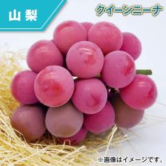�N�C�[���j�[�i