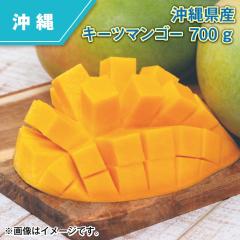���ꌧ�Y �L�[�c�}���S�[ �V�O�O��