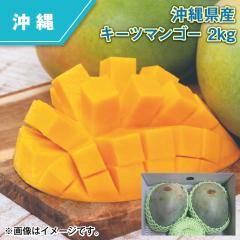 ���ꌧ�Y �L�[�c�}���S�[ �Q����