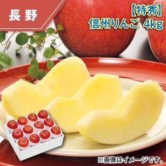 �y���G�z�M�B��� �S����