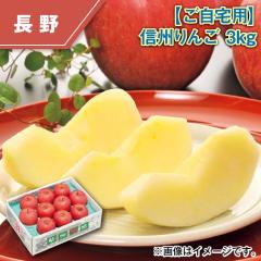 �y������p�z�M�B��� �R����