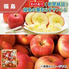 �킯����i�V�����l�j�����̗t��炸�T���ӂ�