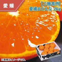 �y�������p�z���Q�}�h���i �Q����
