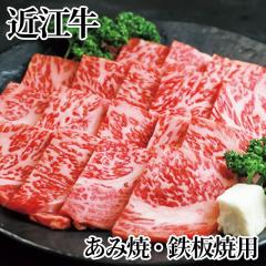 �ߍ]�� ���ݏāE�S�ėp