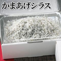 ���܂����V���X