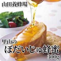 �R�c�{�I�� ���R�̂ڂ�������I�� �R�O�O��