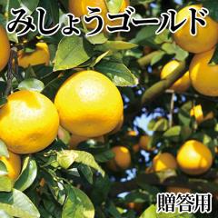 �݂��傤�S�[���h �����p