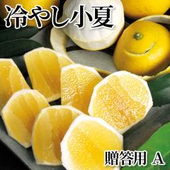 ��₵���� �����p �`