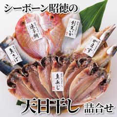 �V�[�{�[�������̓V�������l����