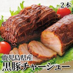 ���������Y���؃`���[�V���[ �Q�{