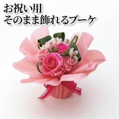 ���j���p���̂܂܏����u�[�P