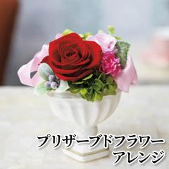 �v���U�[�u�h�t�����[�A�����W