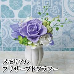 �������A���v���U�[�u�h�t�����[
