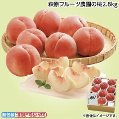 ������ �����t���[�c�_���̓��Q�D�W���� �䒆�� �ăM�t�g �M�t�g ���� ��������