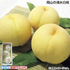 ������ ���R�̐������� �䒆�� �ăM�t�g �M�t�g ���� ��������