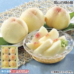 ������ ���R�����U�� �䒆�� �ăM�t�g �M�t�g ���� ��������