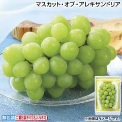 ������ �}�X�J�b�g�E�I�u�E�A���L�T���h���A �䒆�� �ăM�t�g �M�t�g ���� ��������