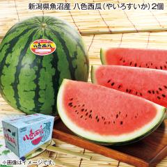 ������ �V���������Y ���F���Z�i�₢�낷�����j�Q�� �䒆�� �ăM�t�g �M�t�g ���� �v���[���g ��������