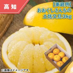 �y�ƒ�p�z�����������񂿂̓y�����U�R���� ��������