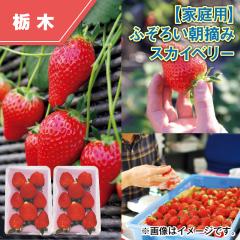 �y�ƒ�p�z�ӂ��낢���E�݃X�J�C�x���[ ��������