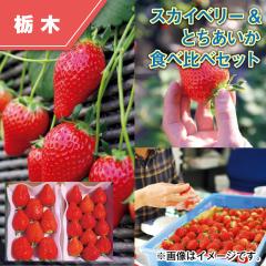 �X�J�C�x���[���Ƃ������� �H�ה�׃Z�b�g ��������