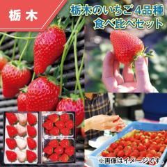 �Ȗ؂̂������S�i�� �H�ה�׃Z�b�g ��������