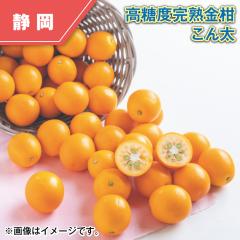 �����x���n���� ���� ��������