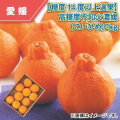 �y���x�P�S�x�ȏ�I�ʁz�����x�s�m�ΔZ�Q�i�����Ђ߁j�Q���� ��������