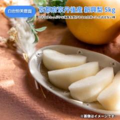 ���s�{���O��Y �V���� �T����