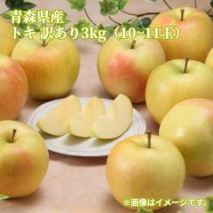 �X���Y �g�L �󂠂�R�����i�P�O�`�P�P�ʁj