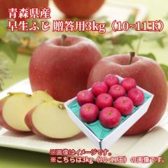�X���Y �����ӂ� �����p�R�����i�P�O�`�P�P�ʁj