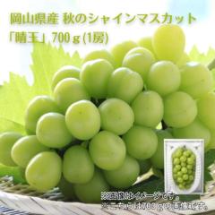 ���R���Y �H�̃V���C���}�X�J�b�g�u�����v�V�O�O���i�P�[�j