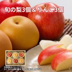�{�̗��R����񂲂R��