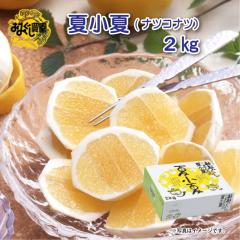 ������ �ď��āi�i�c�R�i�c�j�Q���� �䒆�� �ăM�t�g �M�t�g ���� ��������