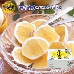 ������ �ď��āi�i�c�R�i�c�j�R���� �䒆�� �ăM�t�g �M�t�g ���� ��������