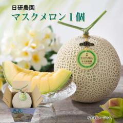 ������ �}�X�N�������P�� �䒆�� �ăM�t�g �M�t�g ���� ��������