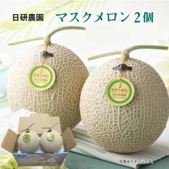 ������ �}�X�N�������Q�� �䒆�� �ăM�t�g �M�t�g ���� ��������